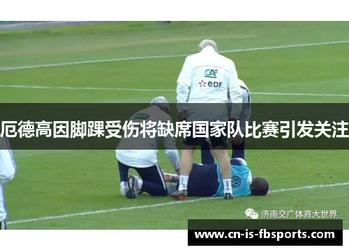 厄德高因脚踝受伤将缺席国家队比赛引发关注